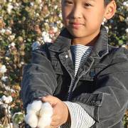 新疆棉被手工纯棉花被春秋被芯被子冬被全棉棉絮垫被双人加厚保暖