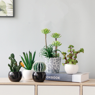 创意室内桌面假花仿真绿植装饰摆件，家居茶几植物盆栽仙人掌盆景