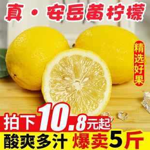 四川安岳黄柠檬(黄柠檬，)5斤新鲜水果奶茶店专用皮薄，一级香水酸柠檬青百香