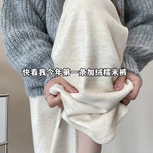 燕麦色糯米裤女春秋季2024高腰直筒垂感慵懒羊绒宽松阔腿裤子