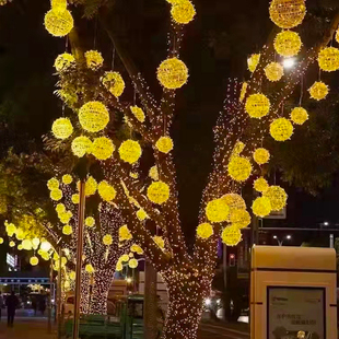 led小彩灯闪灯满天星户外藤球灯圣诞春节街道亮化装饰景观挂树灯