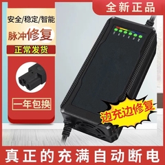 电动车电瓶充电器雅迪爱玛台铃小新日9自动断电通用60v48v72v伏