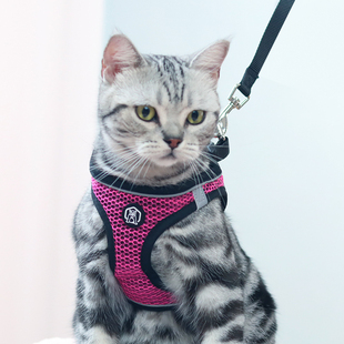 猫牵引绳防挣脱小狗背带，防逃猫咪胸背遛猫绳背心，式小猫衣服带猫绳