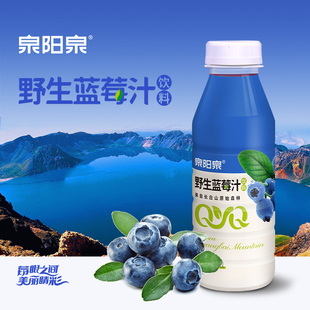 泉阳泉长白山野生蓝莓，汁饮料420ml*20瓶整箱