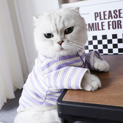 小猫穿的衣服秋天带牵引扣猫咪保暖防着凉帅气两脚衣条纹可爱短袖