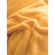 珊瑚绒毛毯床单毛绒加厚法兰绒，单件床单式双人单人毯子12床18