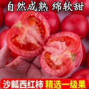 西红柿新鲜自然熟5斤沙瓤水果生吃当季整箱普罗旺斯农家大番茄