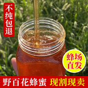 蜂场成熟野百花纯蜂蜜1斤/瓶深山自产自销农家土蜂蜜液态结晶原蜜