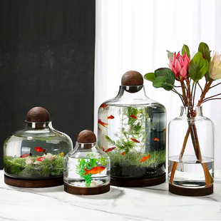 创意圆形玻璃小鱼缸日式生态瓶，桌面微景观生日礼物diy作业免换水