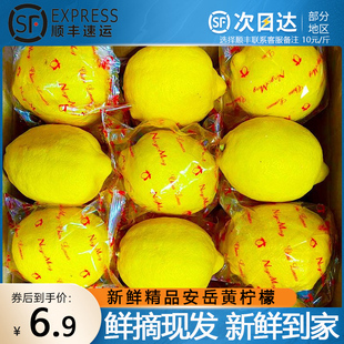 安岳新鲜黄(新鲜黄)柠檬9斤奶，茶店专用一二级薄皮商用四川青柠檬薄皮水果