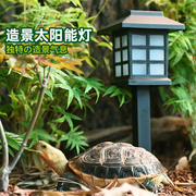 黄缘龟专用养殖箱造景，太阳能灯爬宠安缘乌龟饲养缸布景装饰材料