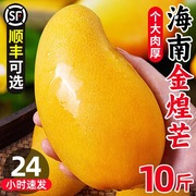 海南金煌芒芒果新鲜10斤一级大果当季现摘热带，孕妇水果甜心青整箱