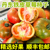 丹东铁皮柿子草莓西红柿新鲜自然熟水果小番茄生吃蕃茄非普罗旺斯