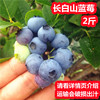 长白山冷冻蓝莓当季水果蓝梅鲜果2斤适合做果酱果汁快递限区