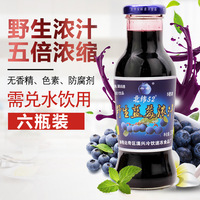 野生蓝莓汁大兴安岭特产玻璃瓶，80%蓝莓汁饮料6瓶装