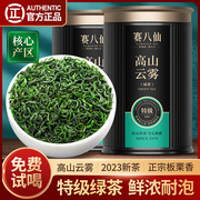 2023新茶叶(新茶叶)绿茶春茶，日照充足高山，云雾浓香型毛尖茶罐装茶叶自己喝