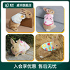 宠物服饰兔子衣服兔兔荷兰猪穿的衣服用品小兔活体秋冬季保暖服装