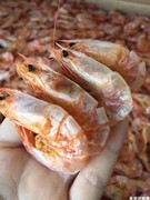 南澳特产特级野生中烤虾干即食海虾干脆虾干海鲜干货零食500g