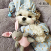 ins纯棉韩国宠物蓝色，星星睡衣套装小型犬泰迪，春款家居服狗狗衣服