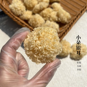 食用菌椴木小银耳新鲜干货古田特产250克非通江仿野生白木耳孕妇