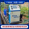 水肥一体机全自动智能施肥机，一体化设备滴灌水泵，灌溉控制器施肥器