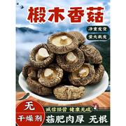 伏牛山香菇椴木香菇500g干货商用特级野生菌菇小香菇冬菇花菇新货