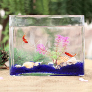 透明玻璃金鱼缸长方形玻璃鱼缸生态鱼缸迷你鱼缸水族箱小金鱼缸