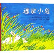 逃家小兔 信谊世界图画书 绘本 少儿读物玛格丽特·怀兹·布