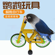 鹦鹉玩具自行车训鸟用品用具道具，牡丹玄凤训练益智互动玩具单车