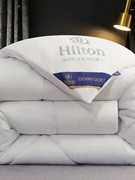 Hotel quilt Hilton duvet autumn winter warm 羽丝绒被芯冬被子