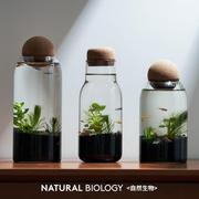 斗鱼生态瓶小鱼缸玻璃办公桌面微景观科学，免换水自循环微观治愈瓶