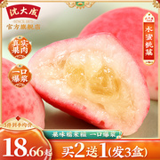 沈大成(沈大成)水蜜桃，菓麻薯爆浆糯米，糍大福零食糕点上海特产白桃雪媚娘