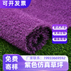 紫色草坪仿真草坪幼儿园草坪彩虹人工假草皮户外装饰纯紫色地毯