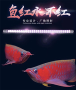 神灯龙鱼专用灯增艳增色金龙红龙鱼灯，鹦鹉潜水防水led鱼缸灯
