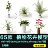 65款植物花卉模型犀牛rhino/3ds/obj/c4d/max/maya/su可用