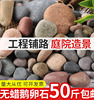 50斤大鹅卵石原d铺地铺路庭院彩色石头鱼缸，装饰石子天然鹅软暖石