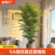 仿真绿植散尾葵落地盆栽室内大型仿生植物摆件客厅轻奢装饰花假树