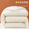 羊毛垫子床垫加厚单人，双人家用垫褥垫被，冬季羊羔绒垫子保暖床褥子