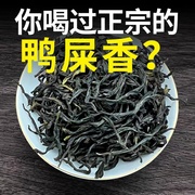 鸭屎香凤凰单枞茶乌龙茶潮州凤凰单丛茶蜜兰香茶大乌叶茶叶礼盒装