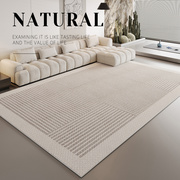 现代简约地毯秋冬ins地毯客厅灰色，高级轻奢沙发2023卧室地垫