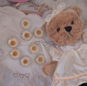 出口单复古(单复古)泰迪熊毛绒玩具小熊，公仔穿裙熊毛绒(熊毛绒)布娃娃生日伴手礼