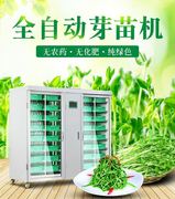 多功能芽苗机全自动商用豌豆豆芽机大容量箱式黄豆绿豆发芽豆苗机