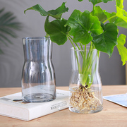 玻璃花瓶透明简约客厅，插花摆件桌面水培植物，器皿水养盆栽花卉容器