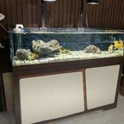 溪流水草缸创意造景超白玻璃鱼缸生态鱼缸水族箱不含灯