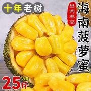 海南三亚菠萝蜜新鲜水果，当季黄肉波罗蜜整箱特产，一整个木菠萝