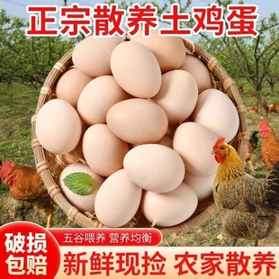 筱诺新鲜农村土鸡蛋40g/枚农家散养自养天然柴鸡蛋笨鸡蛋草鸡蛋