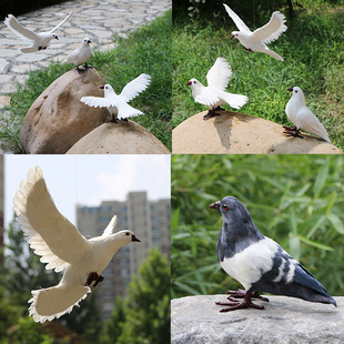 仿真鸽子摆件白鸽婚庆道具和平鸽，模型真羽毛可悬挂仿真鸟标本拍照