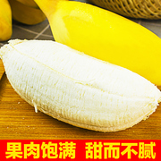 正宗广西苹果蕉当季新鲜水果香蕉9斤自然熟整箱小米蕉粉芭蕉香焦
