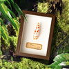 天然贝壳海螺相框，装饰画摆件家居，创意植物桌面节日生日礼物