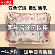 扬子充电式防爆热水袋煖宝宝可爱毛绒电，暖手宝女生用暖水袋内胆可拆洗丝光被窝专用暖脚冬季暖被窝神器宫
